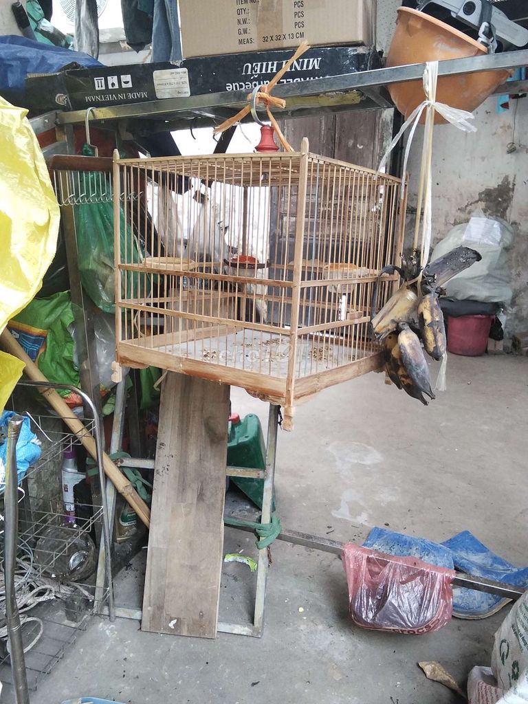 300k. Mua bán Phụ kiện, Thức ăn, Dịch vụ tại Quận Tây Hồ Hà Nội được đăng bởi Giang Hoang hình 1