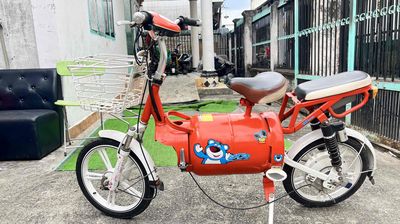 Xe đạp điện màu Cam