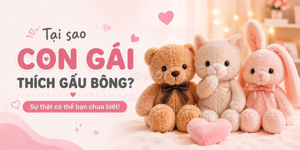 Tại sao con gái lại thích gấu bông. Mua bán Sở thích khác tại Quận Hà Đông Hà Nội được đăng bởi Minh Dũng Vũ Nguyễn hình 1