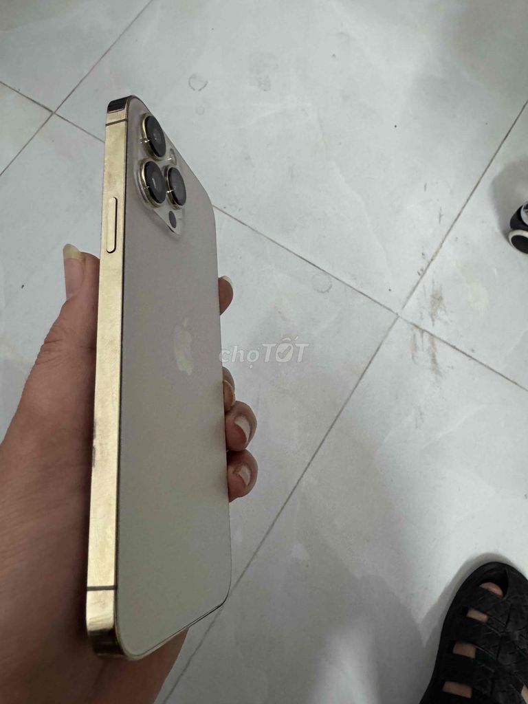 Apple iPhone 13 Pro Max Vàng Gold. Mua bán Điện thoại tại Huyện Thanh Trì Hà Nội được đăng bởi trọng tài hình 1