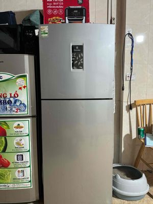 Tủ lạnh electrolux hơn 200l