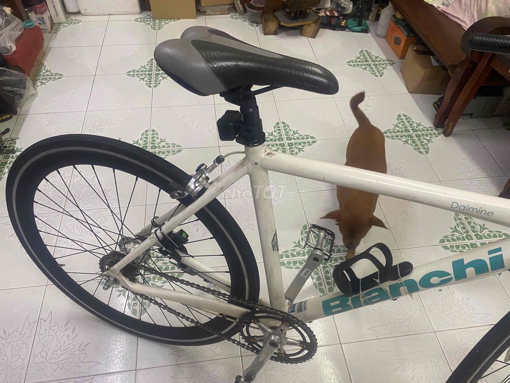 bianchi. Mua bán Xe đạp tại Quận 10 Tp Hồ Chí Minh được đăng bởi Thu Dinh hình 6