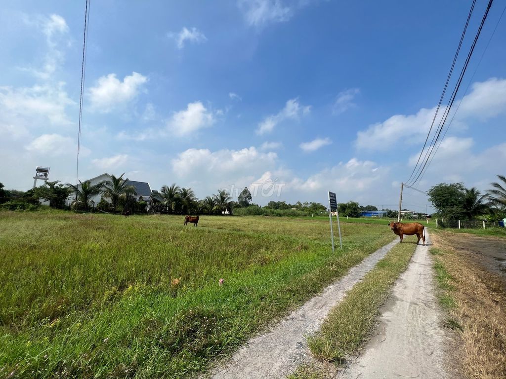 Ngân hàng phát mãi lô đất 672,8m2 full thổ cư giá rẻ. Mua bán đất tại Huyện Đức Hòa Long An được đăng bởi Dương Chuyên tài sản Thanh lý Ngân hàng hình 3