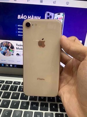 8G 64G Gold LL/A  - Pin 100% đẹp keng. Mua bán Điện thoại tại Quận 3 Tp Hồ Chí Minh được đăng bởi Tuấn Nguyễn