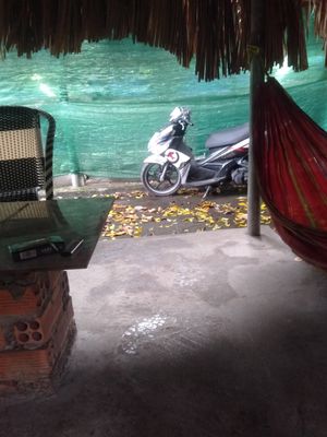 Xem xe. bình dương vòng xoay An Phú. Mua bán Xe máy tại Thành phố Thuận An Bình Dương được đăng bởi Cậu Hai hình 1