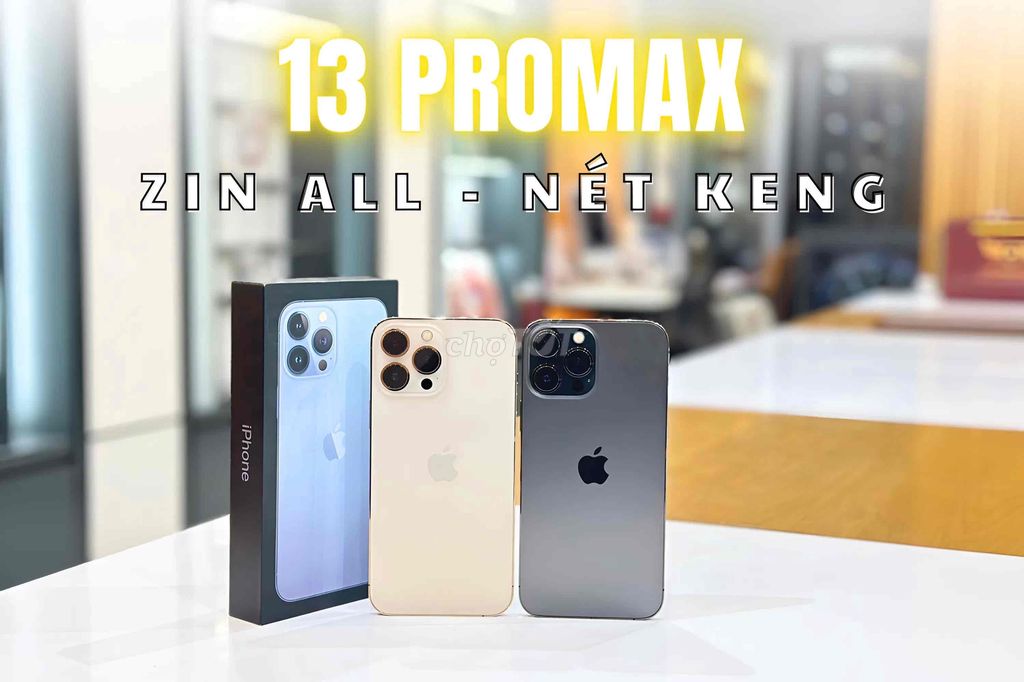 13 PROMAX - ZIN ALL - Hàng tuyển đẹp xuất sắc