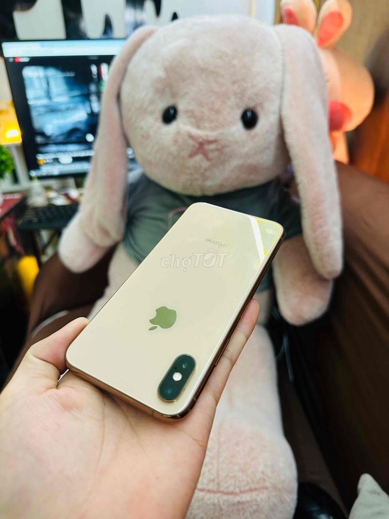 Iphone XS 256 GB QuốcTế full chức năng,cực ngon