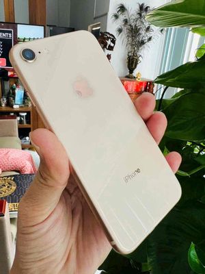 iphone 8 - 64G Gold Quốc tế Mỹ nhỏ gọn . Zin đẹp k. Mua bán Điện thoại tại Thành phố Biên Hòa Đồng Nai được đăng bởi Oanh Hoang