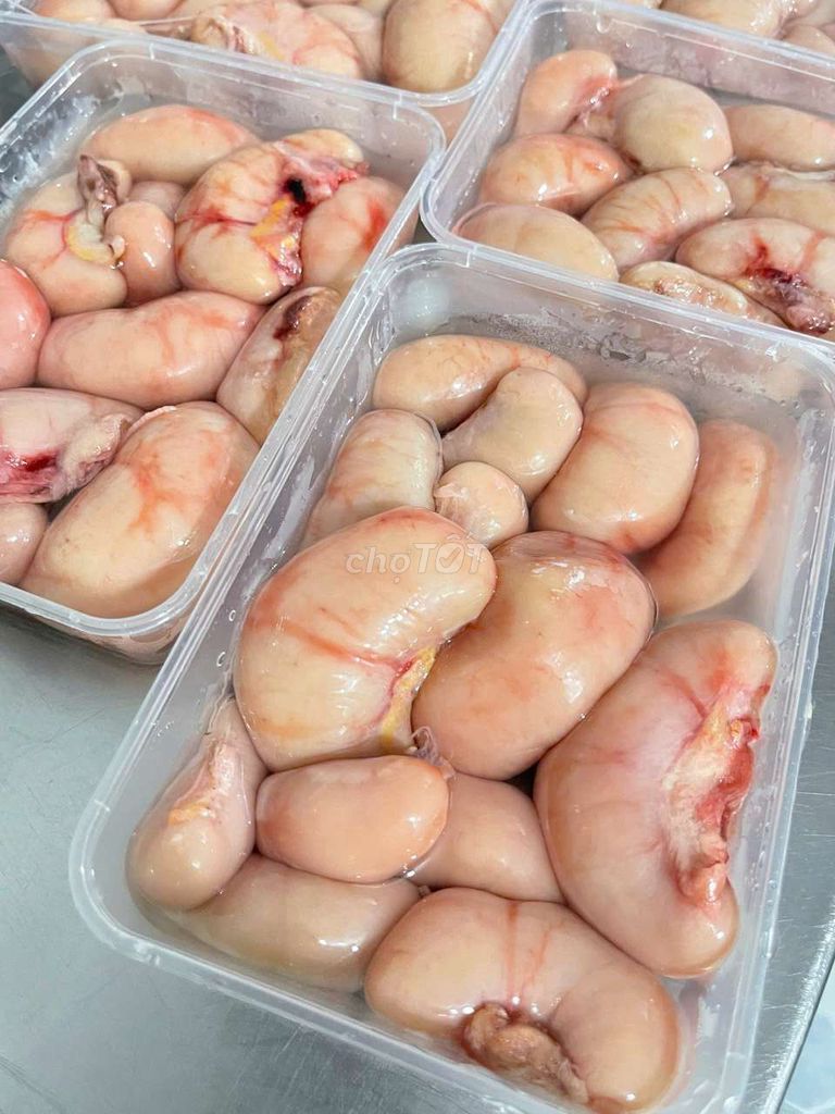 Gà tây 1kg Tươi sống. Mua bán Đồ ăn, thực phẩm và các loại khác tại Quận Phú Nhuận Tp Hồ Chí Minh được đăng bởi Hà Nhi Cao hình 1