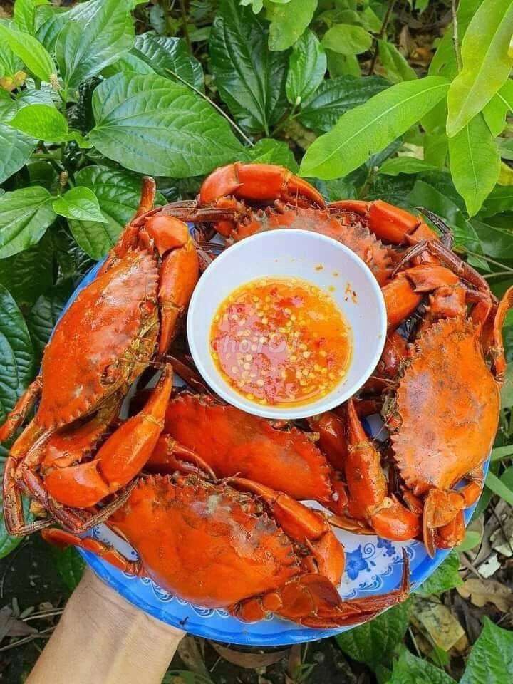 Cua thiên nhiên 3 con/kg. Mua bán Đồ ăn, thực phẩm và các loại khác tại Huyện Bến Lức Long An được đăng bởi Yến hình 1