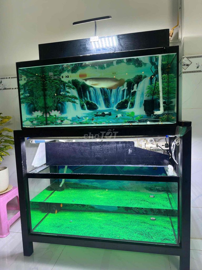 Hồ cá Kính Sắt Đen 80x40x40cm Chân Sắt 2 Tầng. Mua bán Phụ kiện, Thức ăn, Dịch vụ tại Thành phố Thủ Đức Tp Hồ Chí Minh được đăng bởi Linh Trang Phương Trần hình 1