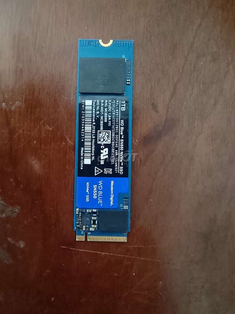 SSD NVME WD Blue SN550 1TB SK100