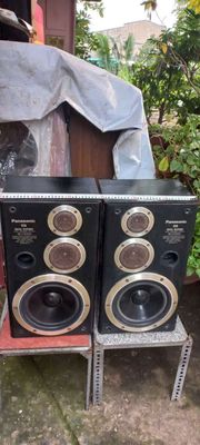 Loa nghe nhạc Panasonic SB -D5500. Mua bán null tại Quận 7 Tp Hồ Chí Minh được đăng bởi hoa trinh nữ 