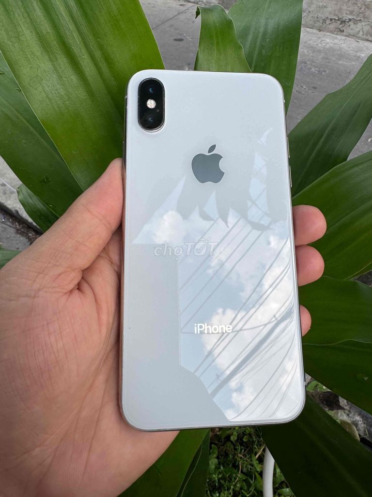 iPhone X 256GB Quốc Tế, pin 100. Mua bán Điện thoại tại Quận Ninh Kiều Cần Thơ được đăng bởi phan Nhân  hình 1