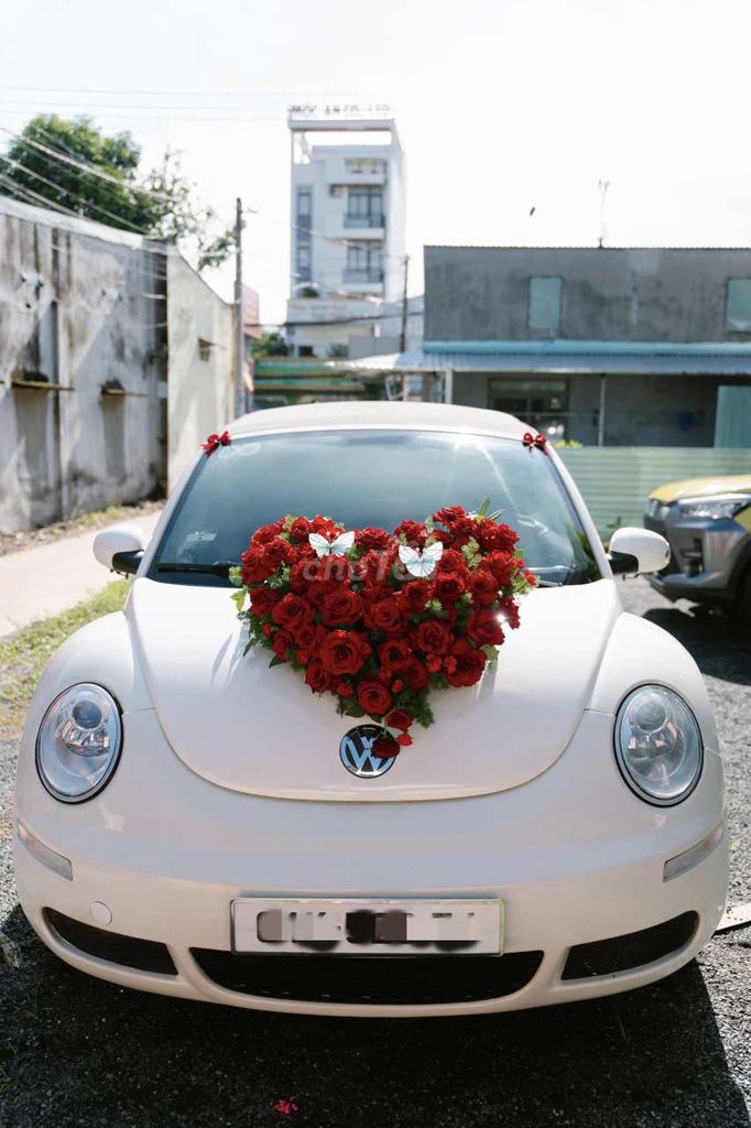 Volkswagen New Beetle mui trần. Mua bán Ô tô tại Quận 3 Tp Hồ Chí Minh được đăng bởi Thành Thành hình 6