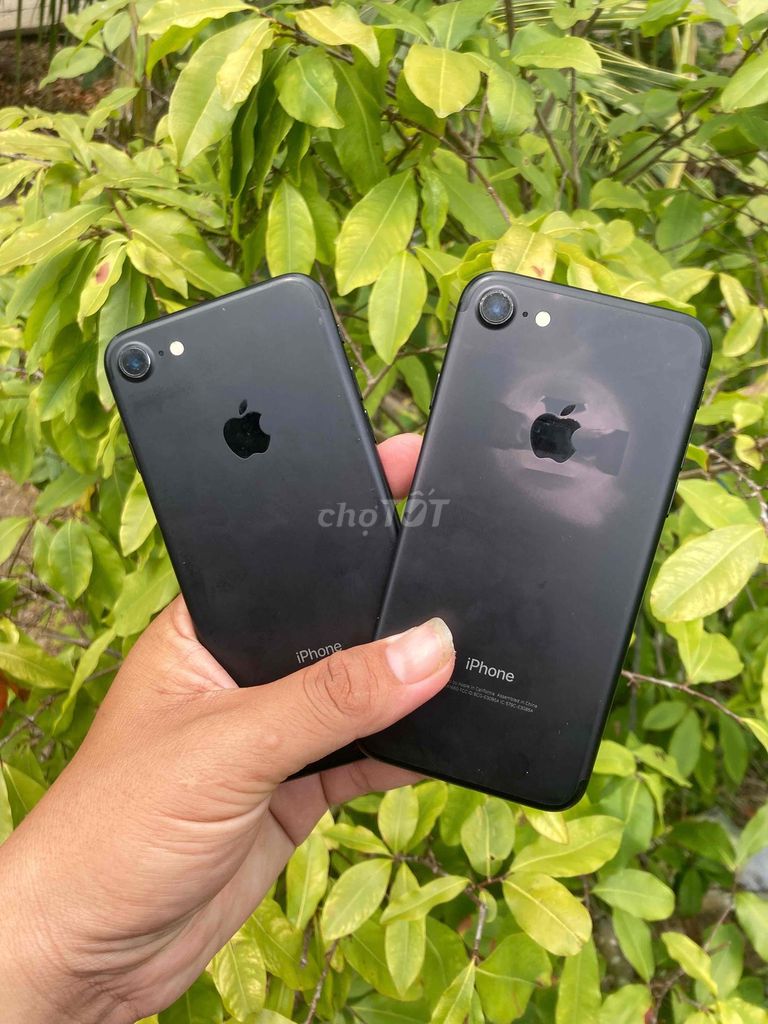 Apple iPhone 7 Đen. Mua bán Điện thoại tại Huyện Cai Lậy Tiền Giang được đăng bởi Tên chưa cung cấp hình 1