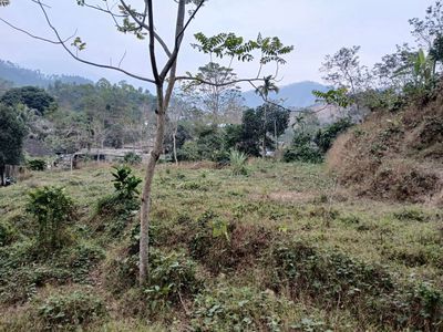 CHÍNH CHỦ CẦN TIỀN BÁN LÔ 1000m2. Mua bán Đất tại Huyện Sơn Dương Tuyên Quang được đăng bởi Tuấn