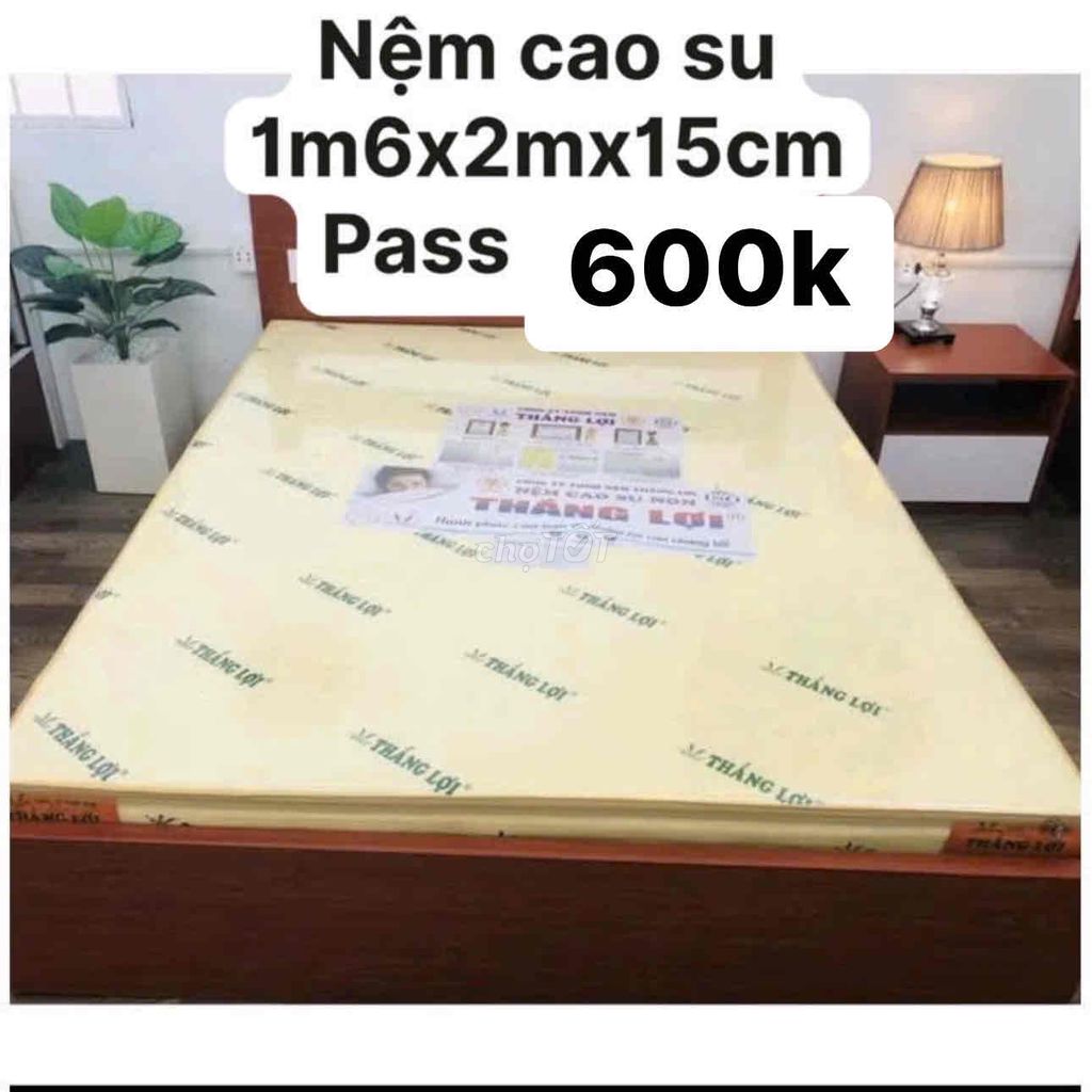 - Nêm cao su Thắng lợi 600k gò vấp