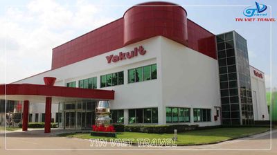 Công ty TNHH Yakult Việt Nam logo
