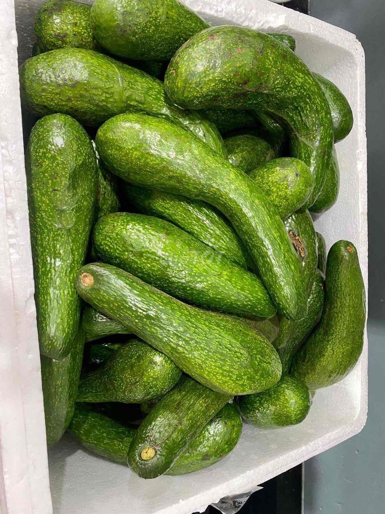 Bơ 034 Lâm Đồng. Mua bán Đồ ăn, thực phẩm và các loại khác tại Huyện Thanh Trì Hà Nội được đăng bởi Mai hình 1