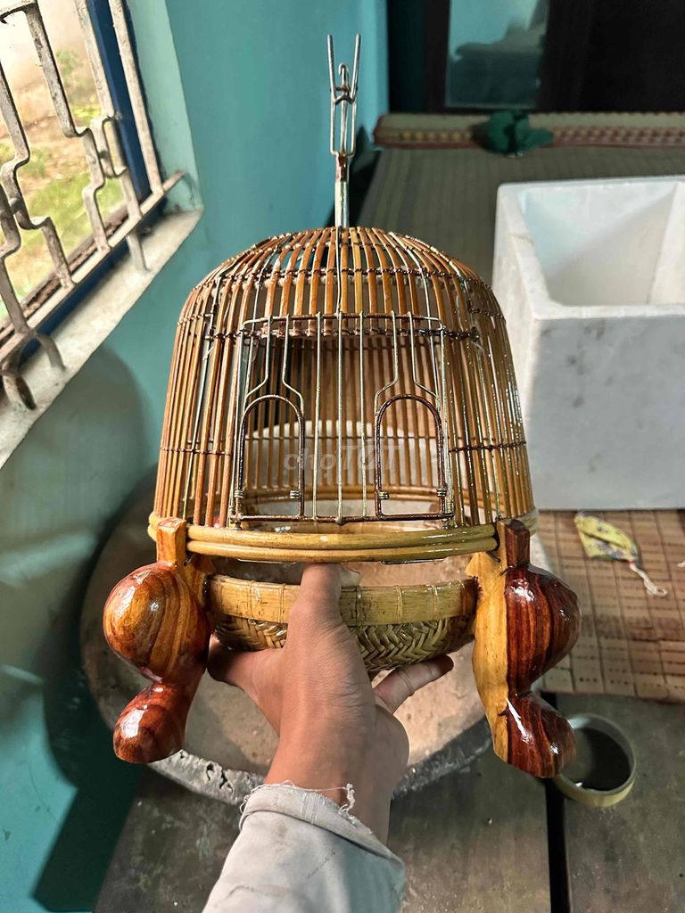 dư dùng ai cần lh em. Mua bán Chim tại Thành phố Thủ Dầu Một Bình Dương được đăng bởi nguyễn hình 1