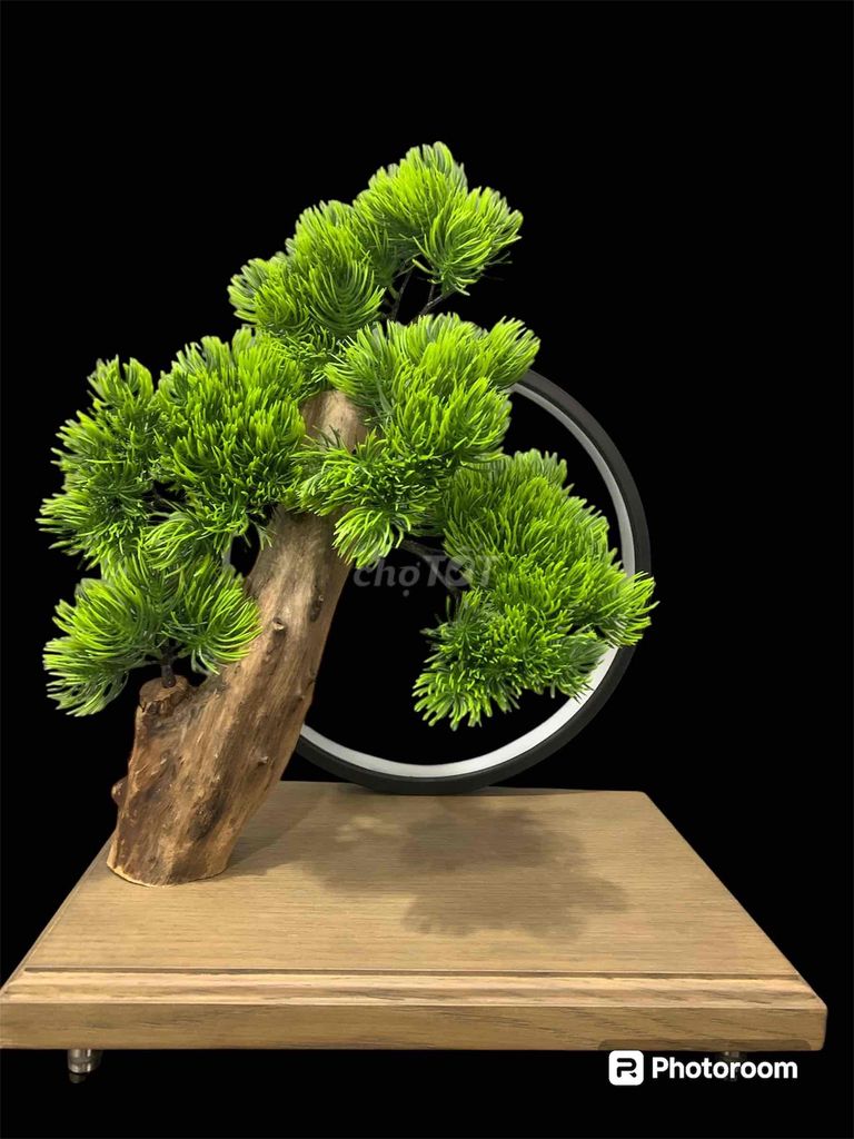 bộ tiểu cảnh bonsai và đèn led