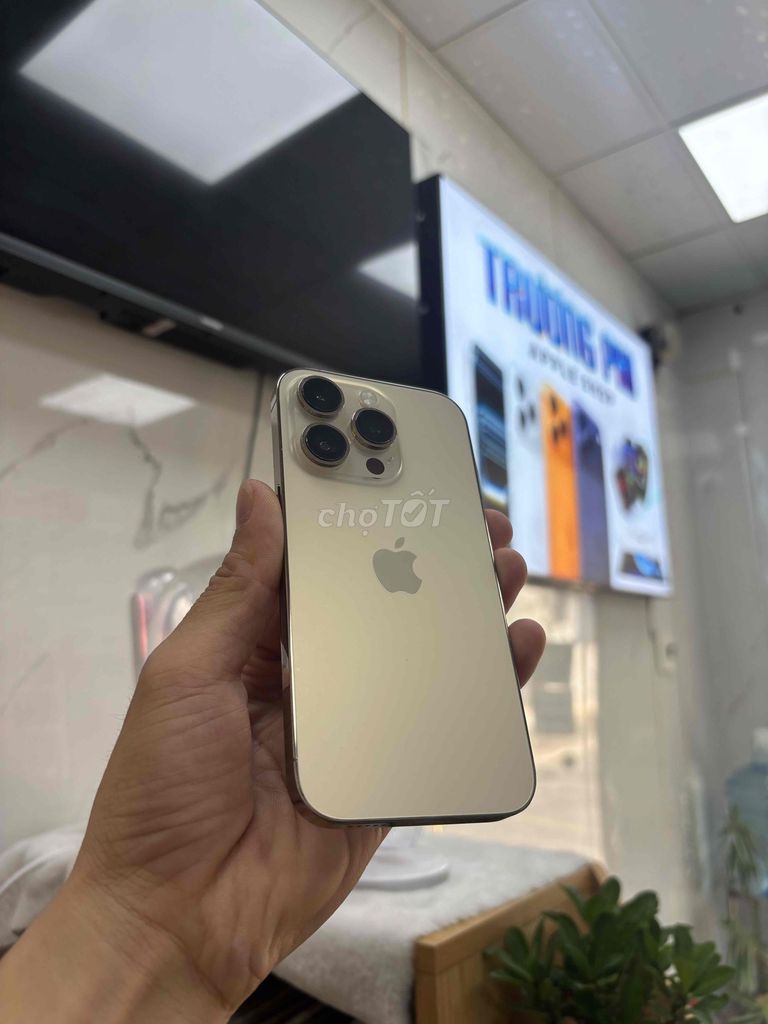 Apple iPhone 14 Pro 256GB Vàng. Mua bán Điện thoại tại Quận Sơn Trà Đà Nẵng được đăng bởi Diễm Diễm hình 1