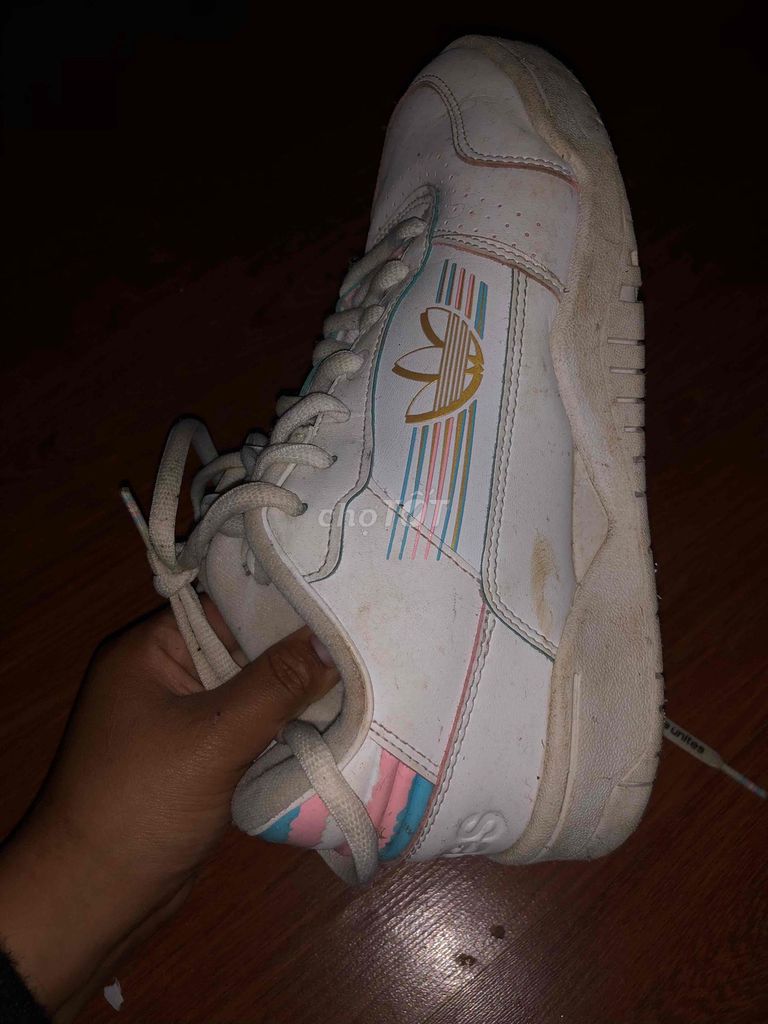 Giày thể thao Adidas Trắng Unisex. Mua bán Giày dép tại Thành phố Đà Lạt Lâm Đồng được đăng bởi Trần Ngọc Sáng hình 1