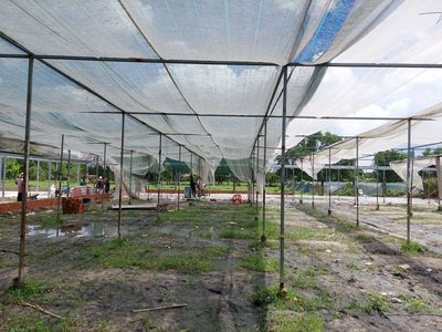 Chính chủ cho thuê vườn ấp Cây Da, Tân Phú Trung,Củ Chi. Cho thuê đất tại Huyện Củ Chi Tp Hồ Chí Minh được đăng bởi Chị Hương