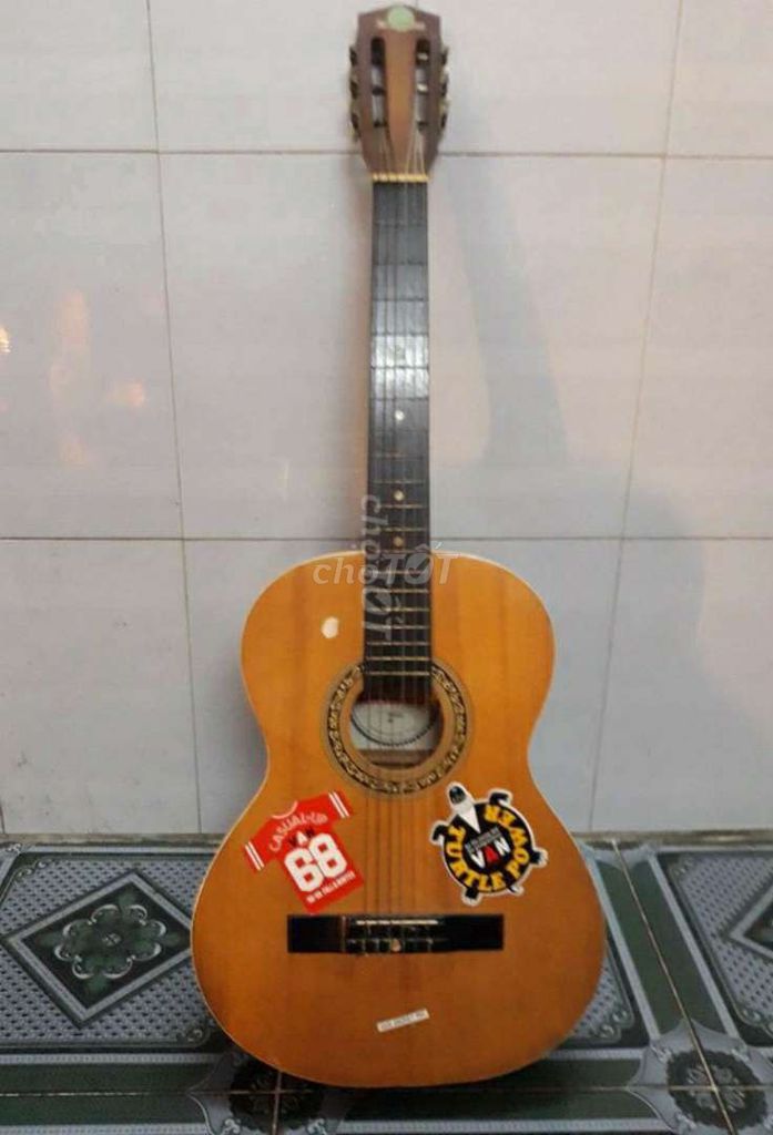 Bán Guitar 500K  Acoustic & Classic Nhật Bản