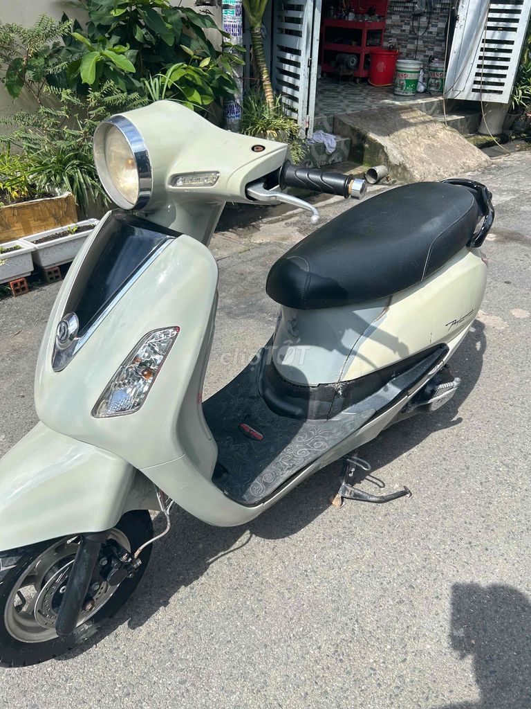 Alizabeth biển tp.Máy siêu êm ngon.xe còn đẹp. Mua bán Xe máy tại Quận Bình Tân Tp Hồ Chí Minh được đăng bởi Duy Linh  hình 6