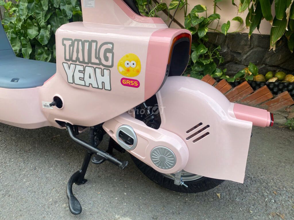 Xe đạp điện TaiLG GR55 hàng chính hãng TAIWAN. Mua bán Xe điện tại Huyện Trảng Bom Đồng Nai được đăng bởi Đồng Đức hình 2