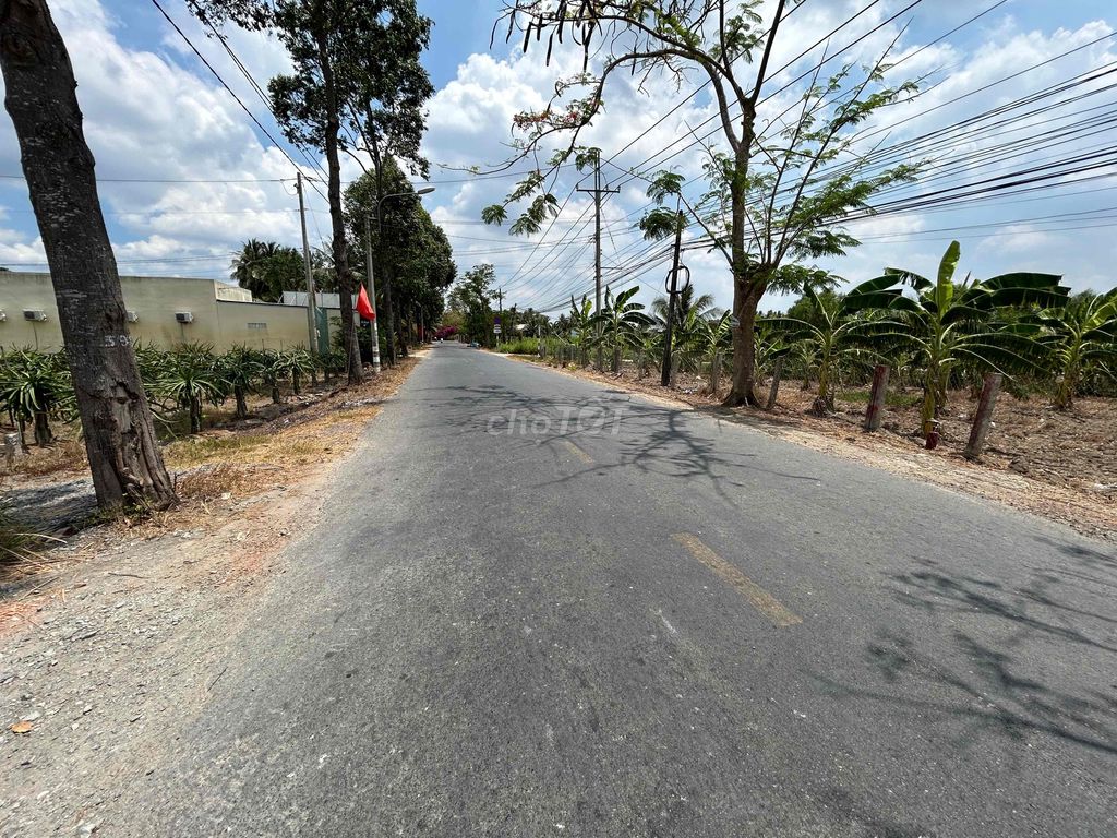 ✅ Đất mặt tiền đường Nguyễn Thông ở Châu Thành - 5 x 28m2 - 1 tỷ 250tr