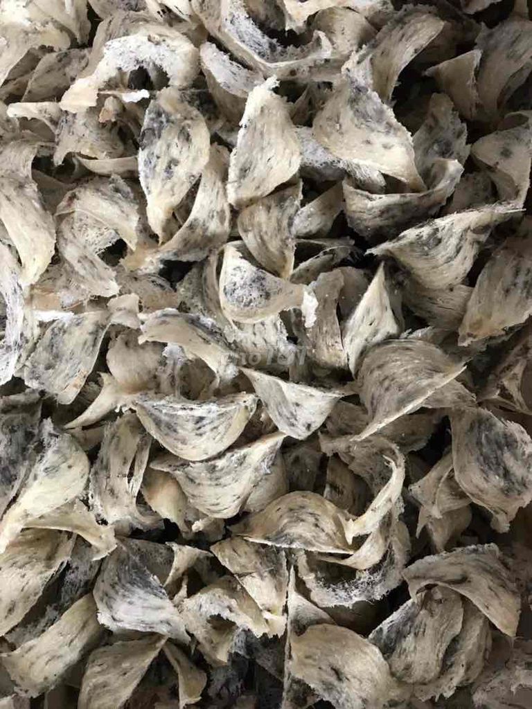 🕊️ YẾN SÀO NGUYÊN CHẤT – BÁN SỈ & LẺ 🕊️
