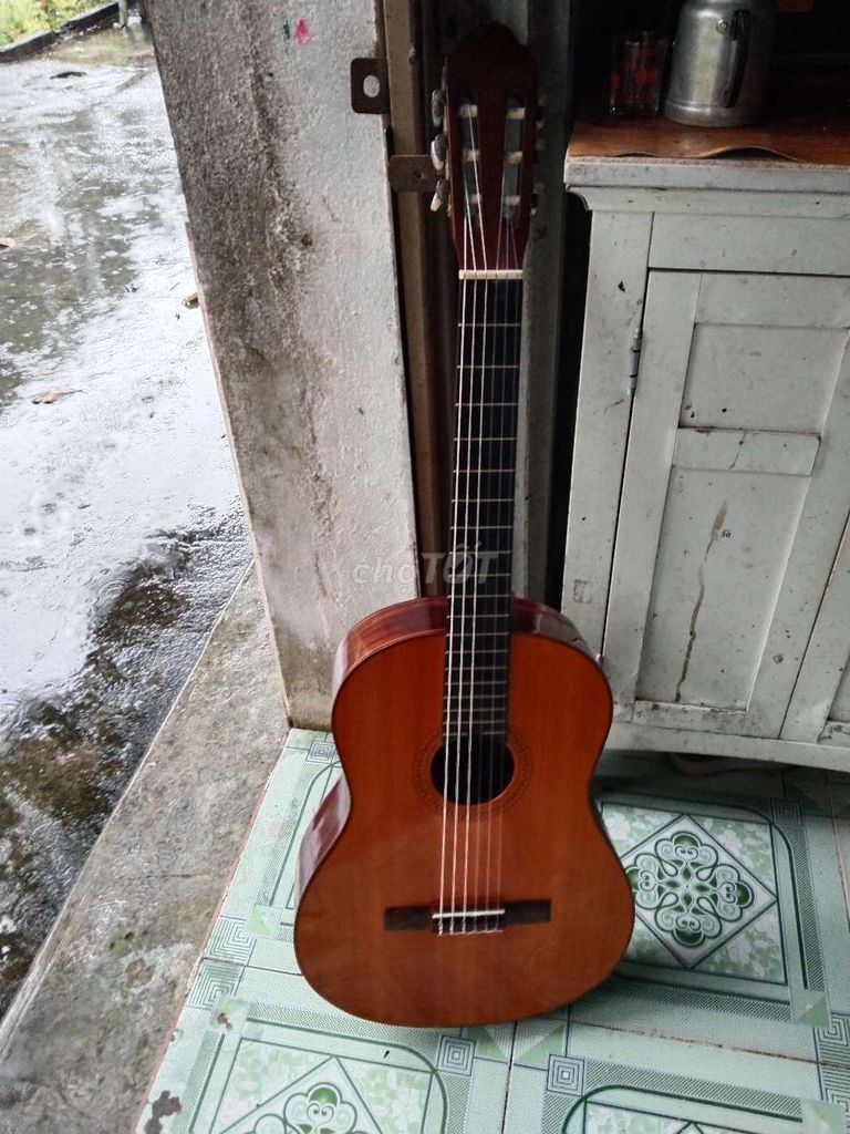 Giao lưu guitar bass