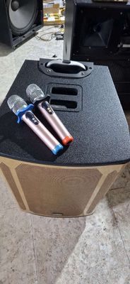 Loa kéo RINTON bass 40. Mua bán Tivi, Âm thanh tại Thành phố Đồng Xoài Bình Phước được đăng bởi hiệp