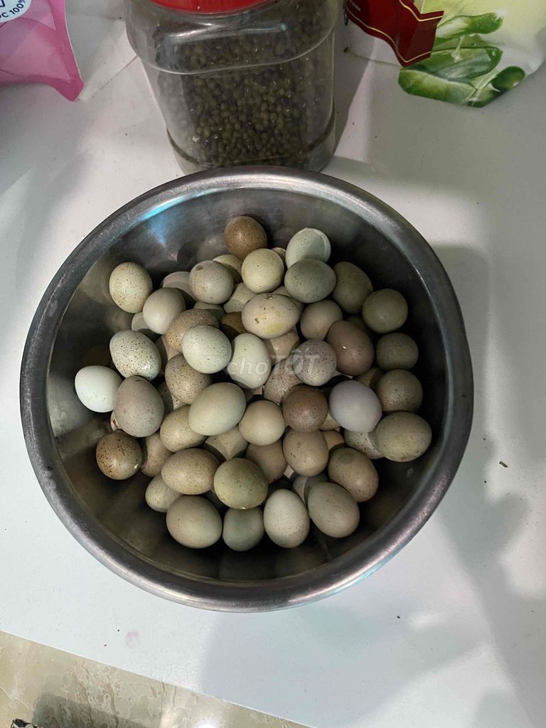 Gà Rutin 35 con Đà Lạt. Mua bán Gà tại Thành phố Đà Lạt Lâm Đồng được đăng bởi Toàn Nguyễn hình 1