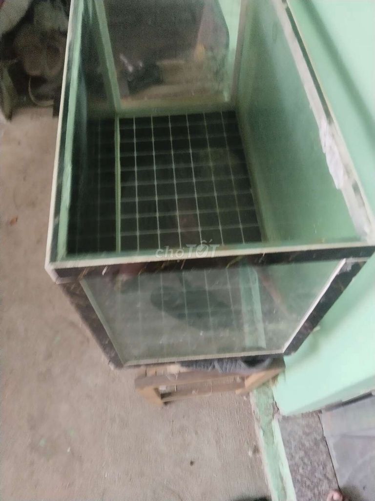 Hồ cá kính 70x30x30 cm. Mua bán Phụ kiện, Thức ăn, Dịch vụ tại Quận Gò Vấp Tp Hồ Chí Minh được đăng bởi zeros hình 1