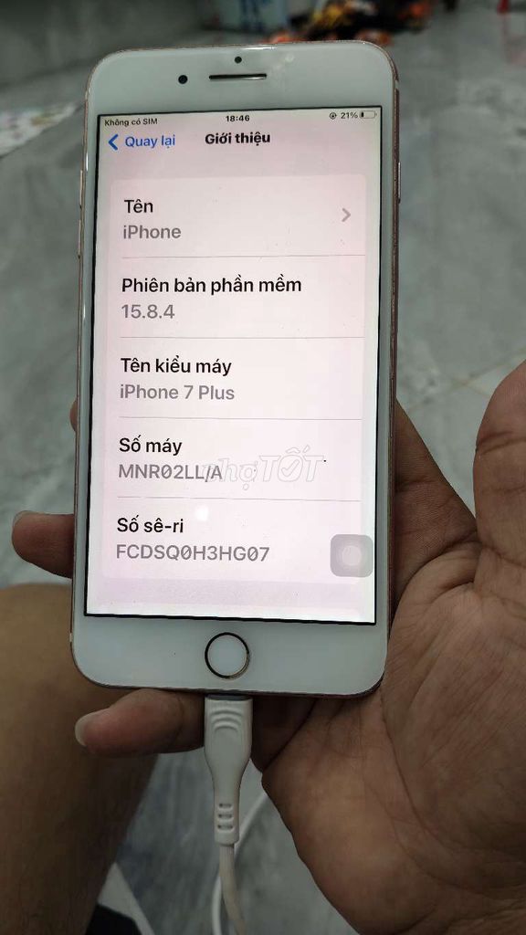 Apple iPhone 7 Plus Hồng Hỏng Wifi. Mua bán Điện thoại tại Huyện Châu Đức Bà Rịa - Vũng Tàu được đăng bởi nguyễn khôi hình 1
