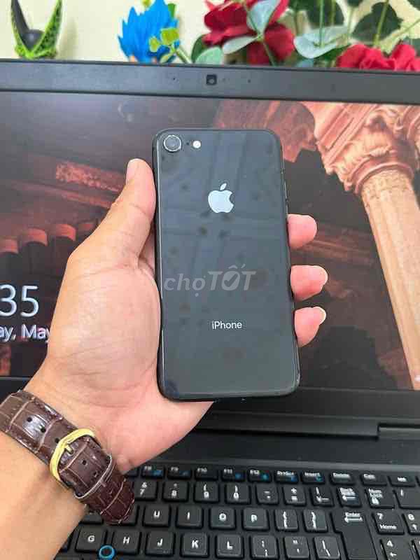 iPhone 8 64GB Đen. Mua bán Điện thoại tại Thành phố Cà Mau Cà Mau được đăng bởi Thái Hoàng Vũ hình 1