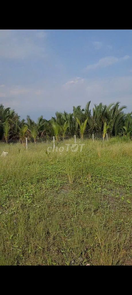 🔥Bán đất nhà vườn nghỉ dưỡng tại Cần Giuộc – Long An🔥. Mua bán đất tại Huyện Cần Giuộc Long An được đăng bởi Nguyễn Xuân Ninh hình 3