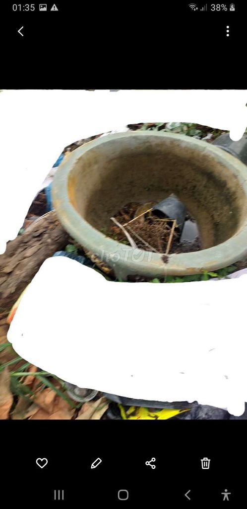 Chậu cây Xi măng Xám. Mua bán Đồ sưu tầm, đồ cổ tại Thành phố Thủ Đức Tp Hồ Chí Minh được đăng bởi Hoàng hình 1