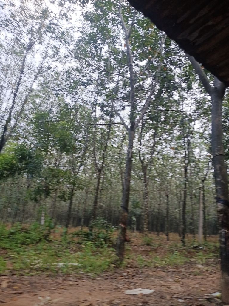 Máy cày Iseki TS 3110 một cầu. Mua bán Phương tiện khác tại Thị xã Tân Uyên Bình Dương được đăng bởi Tên chưa cung cấp hình 2