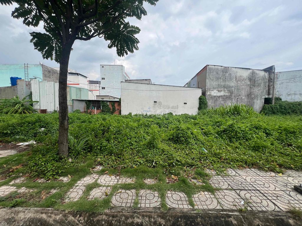 BÁN ĐẤT ĐƯỜNG T15 AN PHÚ ĐÔNG, 5x11.5M, KHU PHÂN LÔ, DÂN CƯ HIỆN HỮU