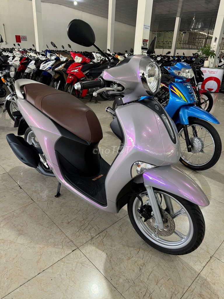 Janus 2025. Mua bán Xe máy tại Huyện Hàm Thuận Nam Bình Thuận được đăng bởi Toàn hình 3