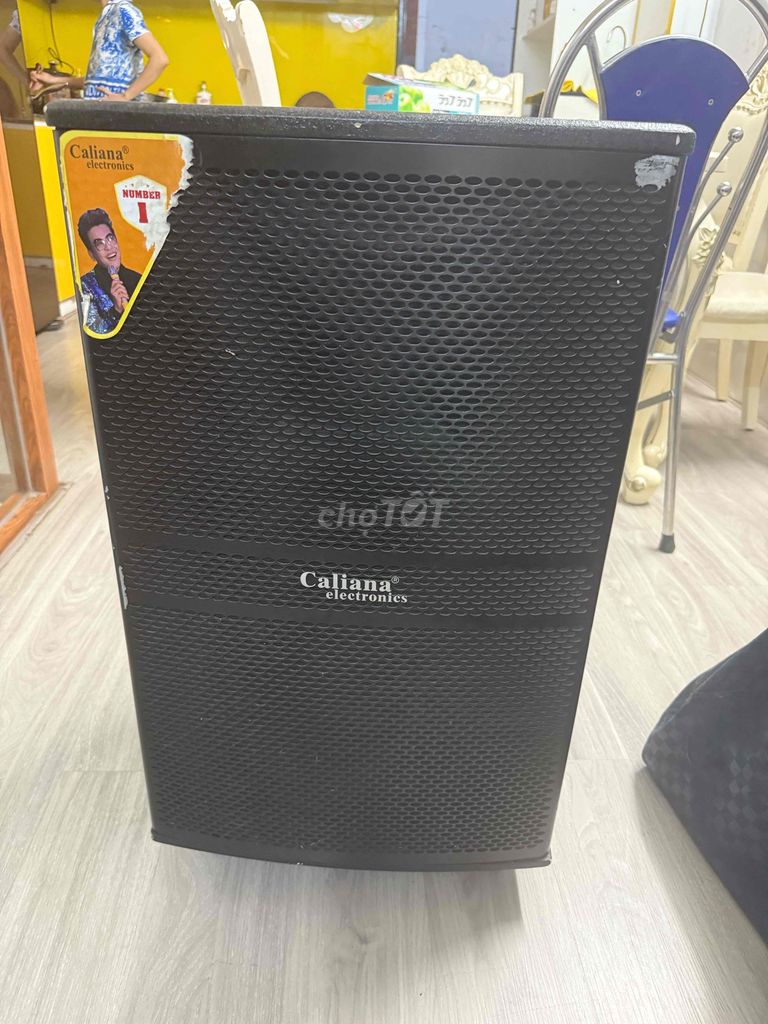 Loa kéo Caliana WD-15A. Mua bán Tivi, Âm thanh tại Quận 11 Tp Hồ Chí Minh được đăng bởi mr hình 1