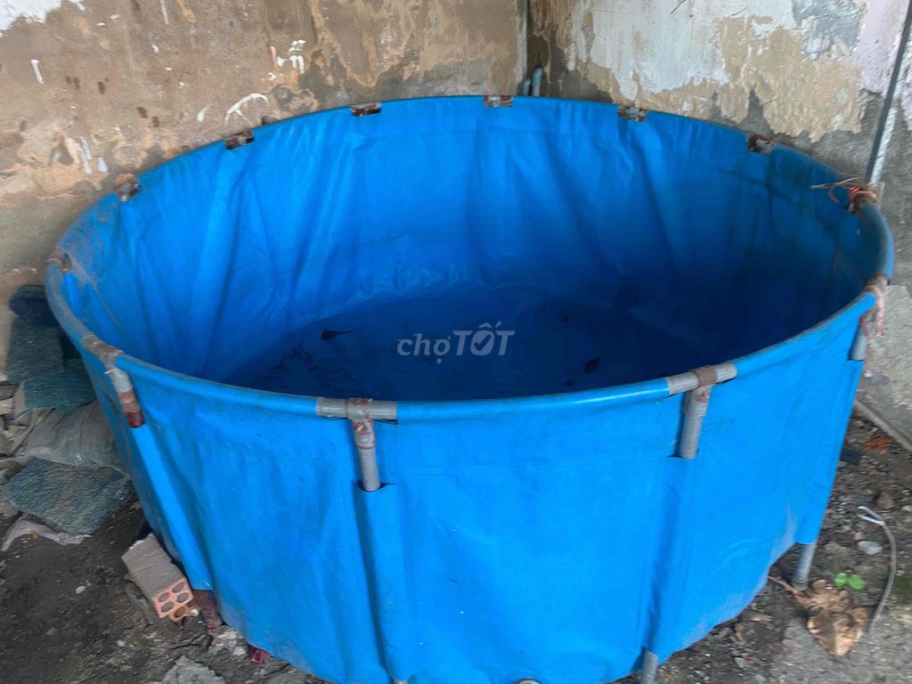 Hồ bạt khung sắt 2mx2mx1m2. Mua bán Phụ kiện, Thức ăn, Dịch vụ tại Thành phố Biên Hòa Đồng Nai được đăng bởi Cá cảnh Văn Thành hình 1
