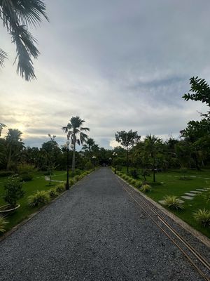 Cho thuê hoặc Hợp tác mở Quán cafe Sân vườn hoặc Homestay
