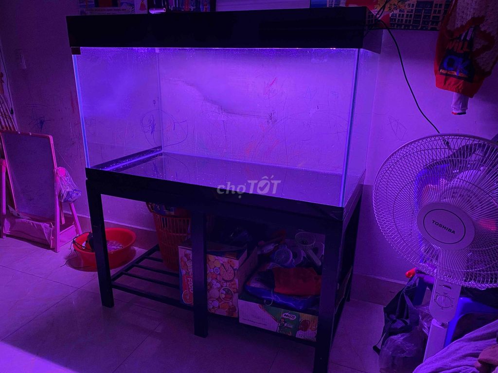 Hồ cá Kính 1m2. Mua bán Phụ kiện, Thức ăn, Dịch vụ tại Quận Gò Vấp Tp Hồ Chí Minh được đăng bởi Trang hình 1