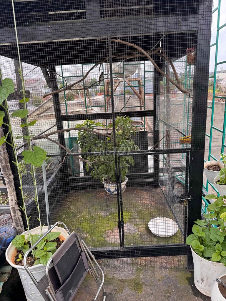 Lưới chuồng chim Avi mạ kẽm đen. Mua bán Phụ kiện, Thức ăn, Dịch vụ tại Huyện Long Thành Đồng Nai được đăng bởi Duc hình 1